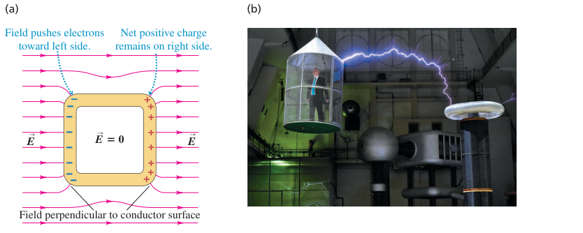 Hình 22.27: Hộp dẫn trong trường đều và người ở trong lồng Faraday