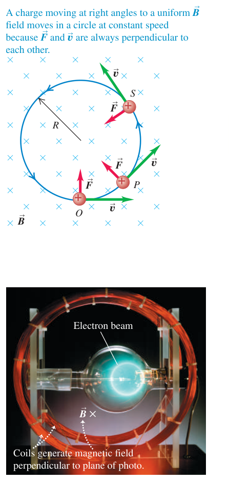 Quỹ đạo tròn của một điện tích dương và cung sáng do chùm electron trong từ trường vuông góc