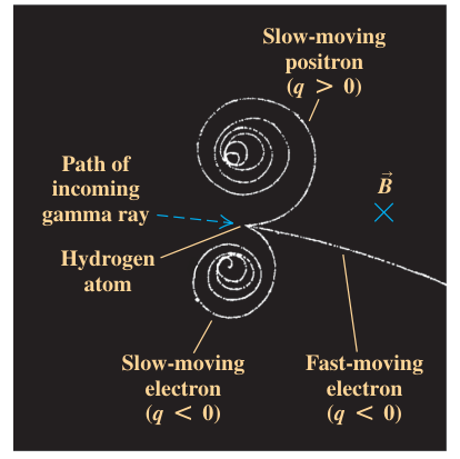 Vệt cong trái chiều của electron và positron trong buồng bọt đặt trong từ trường