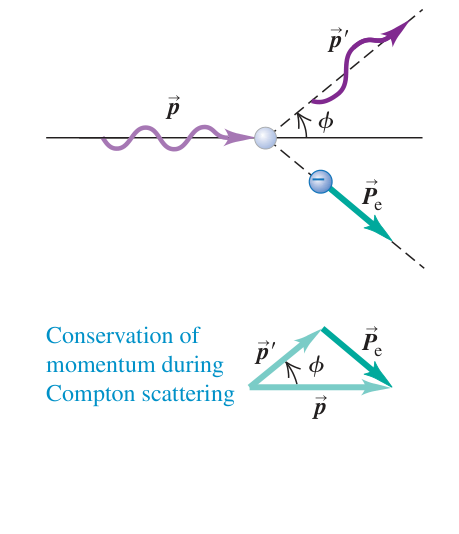 Hình 38.12: Giản đồ vector minh họa định luật bảo toàn động lượng trong tán xạ Compton.