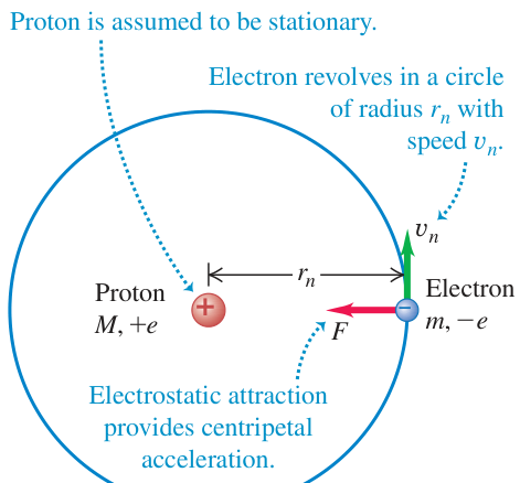 Hình 39.23: Mô hình nguyên tử hydro của Bohr: Lực hút tĩnh điện Coulomb giữa proton đứng yên và electron cung cấp gia tốc hướng tâm cho electron chuyển động tròn.