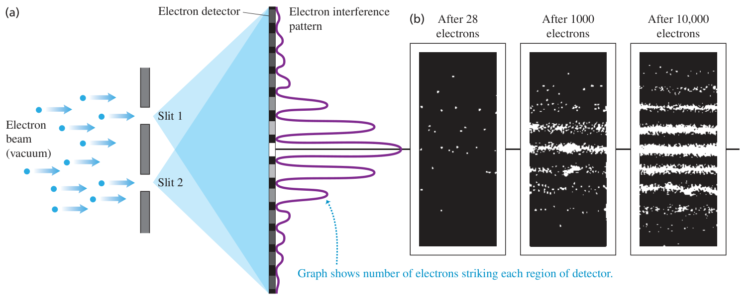 Hình 39.34: (a) Bố trí giao thoa hai khe với electron trong chân không. (b) Các ảnh sau 28, 1000 và 10.000 electron cho thấy vân dần xuất hiện từ những sự kiện phát hiện riêng lẻ.