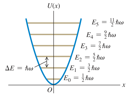 Hình 40.25: Sáu mức thấp nhất của dao động tử điều hòa. Mức thấp nhất có năng lượng ℏω/2 và mọi khoảng cách mức kề nhau đều bằng ℏω.