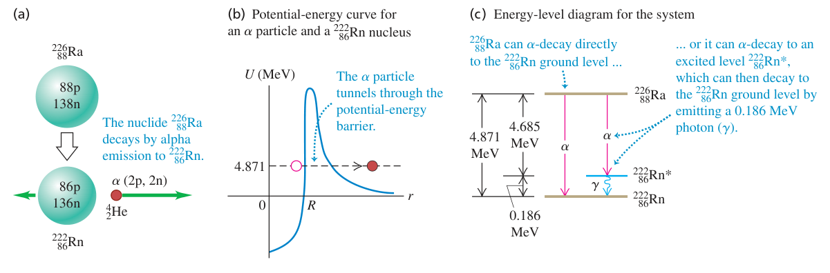 Hình 43.5: Mô hình phân rã alpha của radium-226 và hiệu ứng đâm xuyên qua hàng rào thế Coulomb. (a) Sơ đồ phân rã. (b) Đường cong thế năng. (c) Giản đồ mức năng lượng hạt nhân.