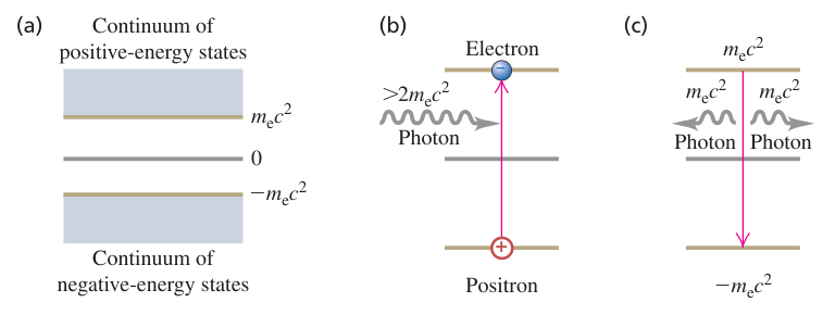 Hình 44.02: Các trạng thái năng lượng của electron tự do theo lý thuyết Dirac: (a) Biển Dirac với toàn bộ trạng thái năng lượng âm bị chiếm đầy, (b) Một photon có năng lượng lớn hơn  kích thích electron từ trạng thái âm lên trạng thái dương, để lại một lỗ trống, (c) Quá trình hủy cặp electron–positron phát ra hai photon.