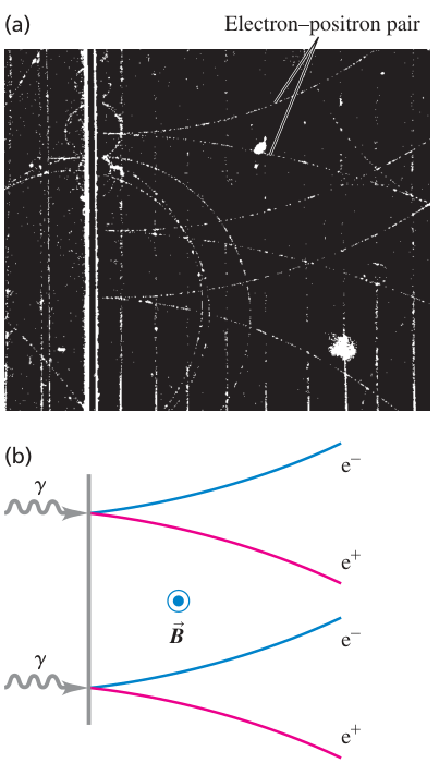 Hình 44.03: (a) Ảnh chụp vết trong buồng bọt của các cặp electron–positron sinh ra khi các photon 300 MeV bắn vào một tấm chì trong từ trường hướng ra ngoài mặt phẳng bức ảnh làm electron và positron uốn cong theo hai chiều ngược nhau. (b) Sơ đồ minh họa quá trình tạo cặp đối với hai trong số các photon.