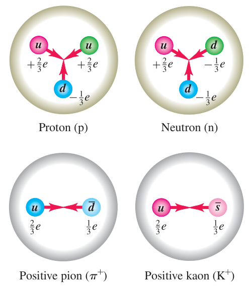 Hình 44.10: Cấu phần quark của bốn hadron tiêu biểu: Proton, neutron, kaon dương và pion dương. Cấu hình màu triệt tiêu nhau để tạo hạt trung hòa màu không được hiển thị.