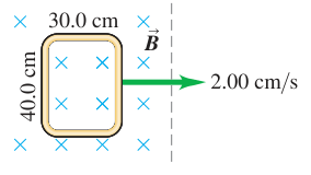 Hình E29.26: Vòng có chiều cao 40,0 cm đi qua biên thẳng đứng của vùng từ trường.