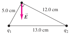 Hình P21.96: Điểm P và hai nguồn tạo tam giác 5,0–12,0–13,0 centimét