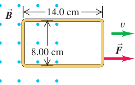 Hình P29.66: Vòng chữ nhật được kéo ra ngoài sang phải, cạnh thẳng đứng dài 8,00 cm còn trong trường.