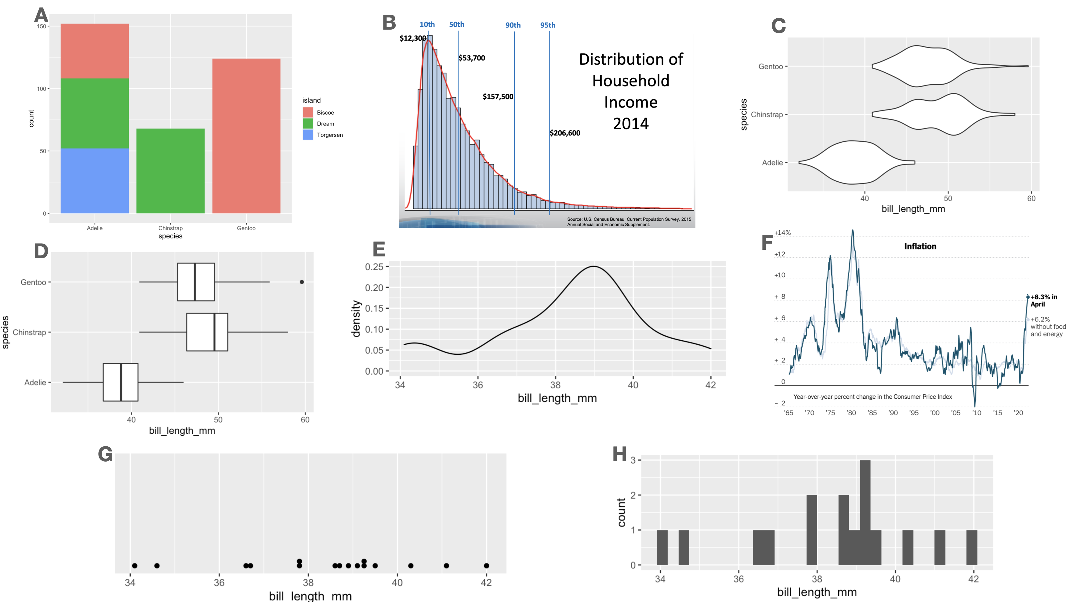 Bộ sưu tập các dạng biểu đồ thống kê đa dạng: Dot plot, Histogram, Density plot, Violin plot, Box plot, Bar chart.