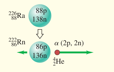 Tổng kết phân rã alpha: Hạt nhân radium phát một hạt alpha và tạo radon. Thành phần của hạt nhân con giảm hai proton và hai neutron.