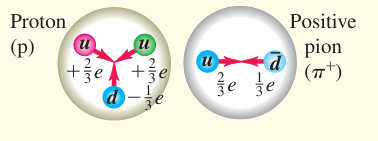 Tổng kết thành phần quark: Proton có thành phần hóa trị uud, còn pion dương gồm quark u và phản quark d. Cộng điện tích các thành phần cho điện tích toàn hạt.