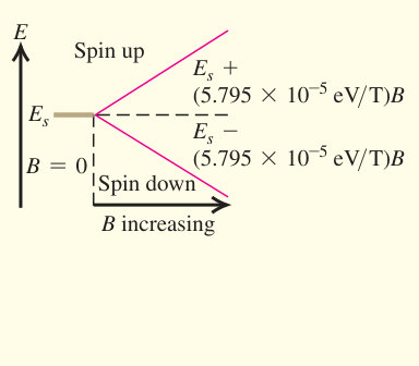 Tổng kết spin: Hai trạng thái spin theo trục từ trường tách năng lượng với độ dịch chuyển trái dấu khi từ trường tăng.